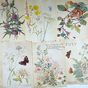 illustrations botaniques vintage d'Edith Holden, pages Nature Notes of an Edwardian Lady