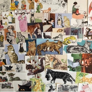 Éphémères de chat pour des revues de rebut, des livres smash, des revues d'art, le collage et l'art modifié, des éphémères de chaton