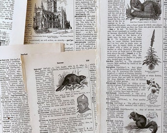 New❁︎在庫2  ヴィンテージ風ペーパー大　辞書・小説・洋書 16 Sheets A5 Size Vintage Old Books Flowers Newspapers Words