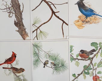 large vintage Glen Loates bird plate illustrations