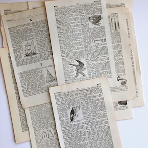 páginas de dicionário ilustrado vintage