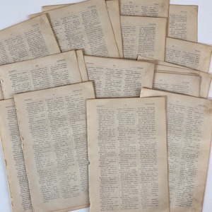 Páginas del diccionario alemán de 1903, páginas antiguas del diccionario alemán para manualidades con papel