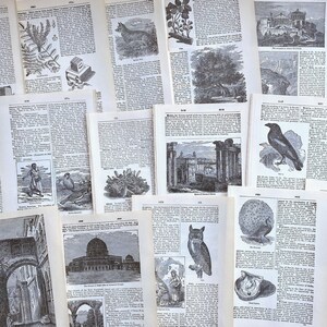 Anciennes pages de dictionnaire biblique illustrées de 1884, documents bibliques éphémères