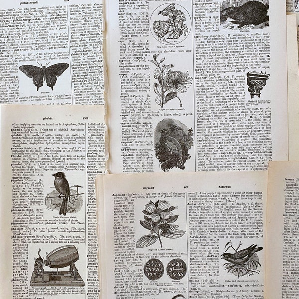 antikes englisches Wörterbuch, 1927 illustriertes Wörterbuch, antikes englisches Wörterbuch, 1927 Papier, The New Century Wörterbuch