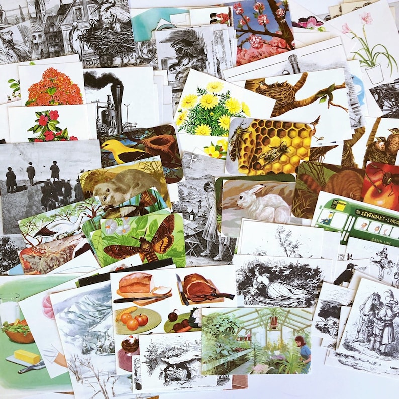 May include: A collection of vintage postcards featuring a variety of images, including nature scenes, animals, and abstract designs. The postcards are in various colors and sizes, and some have handwritten messages on the back.