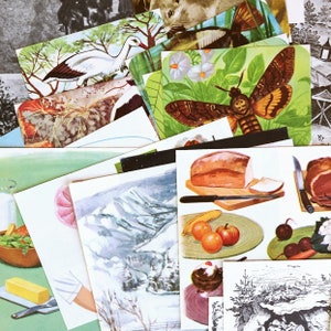 May include: A collection of vintage paper ephemera with various illustrations, including a white bird, a moth, a loaf of bread, a mountain range, and a black and white drawing of a forest scene.