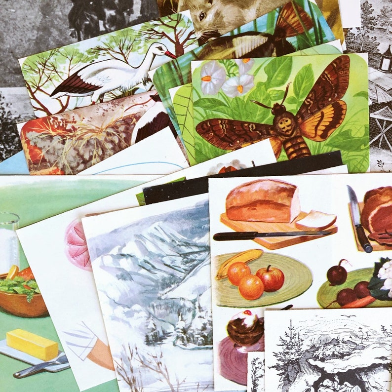 May include: A collection of vintage paper ephemera with various illustrations, including a white bird, a moth, a loaf of bread, a mountain range, and a black and white drawing of a forest scene.