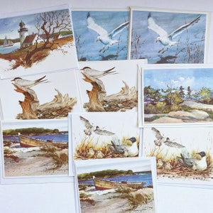 jeu de cartes pour notes vintage paysage de plage, cartes vierges oiseau vintage