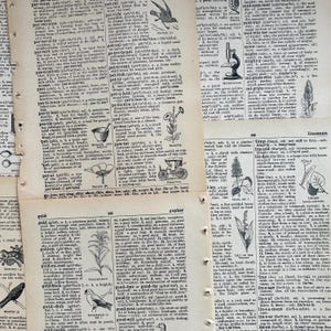 anciennes pages de dictionnaire illustrées de 1948, anciennes pages de dictionnaire anglais pour la fabrication de papier