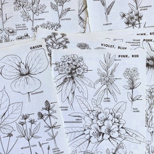 assiettes vintage botaniques en noir et blanc de fleurs sauvages