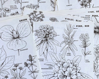 vintage botanical black and white wild flower plates