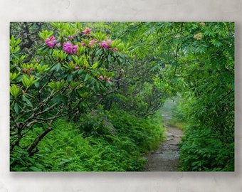 Large Wall Art "Hidden Path" Blue Ridge Mountains Scenic Byway North Carolina Forest fog Rhododendrons Fine Art Metal Canvas & frame Options