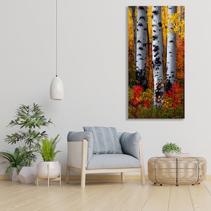 May include: A vertical canvas print featuring a close-up of three aspen trees with white bark and black markings. The trees are surrounded by vibrant autumn foliage in shades of yellow, orange, and red. The artwork is displayed in a modern living room setting.
