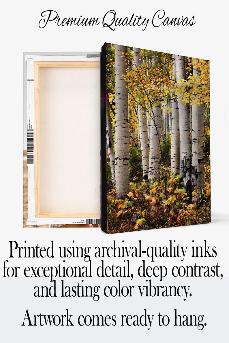 May include: Canvas art print featuring a forest scene with white birch trees and yellow autumn leaves. The text reads "Premium Quality Canvas" and "Printed using archival-quality inks for exceptional detail, deep contrast, and lasting color vibrancy. Artwork comes ready to hang."