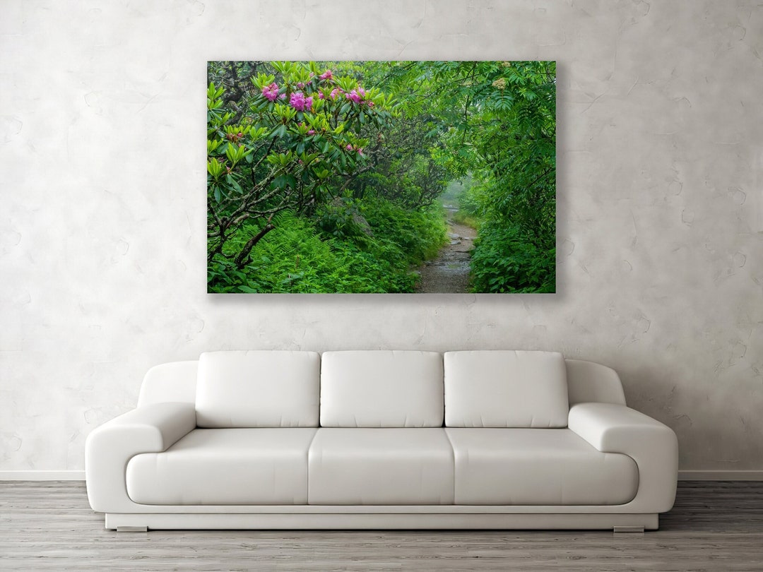 Large Wall Art hidden Path Blue Ridge Mountains Scenic Byway North