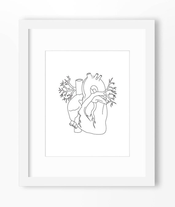 Heart Art Heart Print Anatomy Art Anatomy Print Heart Etsy