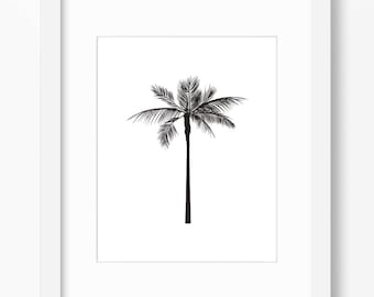 Impresión de palmeras, arte de palmeras, palmera gráfica, arte tropical, impresión de palmeras, palmera negra, arte minimalista, impresión de pared de palmeras, Hawái