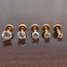 16g 2-4mm Tragus 6mm-8mm Threadless Push Pin Labret Nose Ring Cartilage Earrings Gold Tone Titanium Prong Set Clear CZ Stone Triple Helix