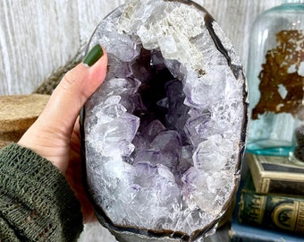 Large Amethyst Geode With Stand / FoxlarkCrystals