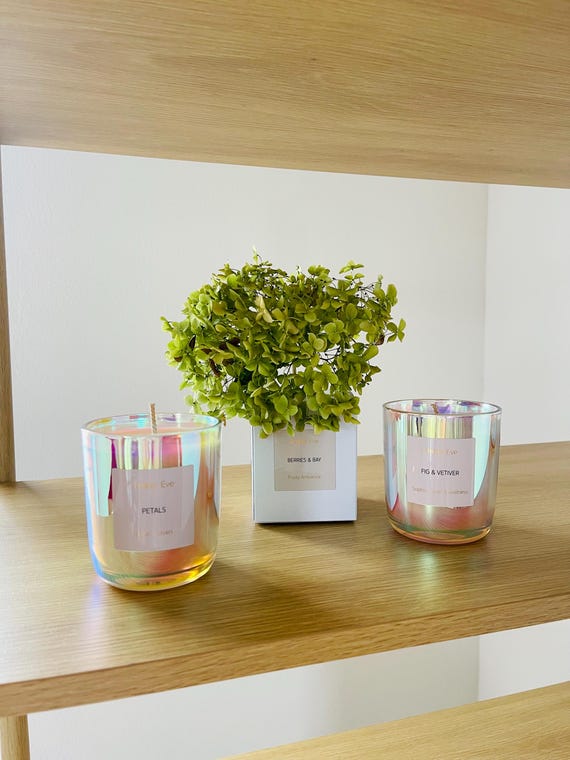 Berries & Bay Scented Candle in Luminous Glass