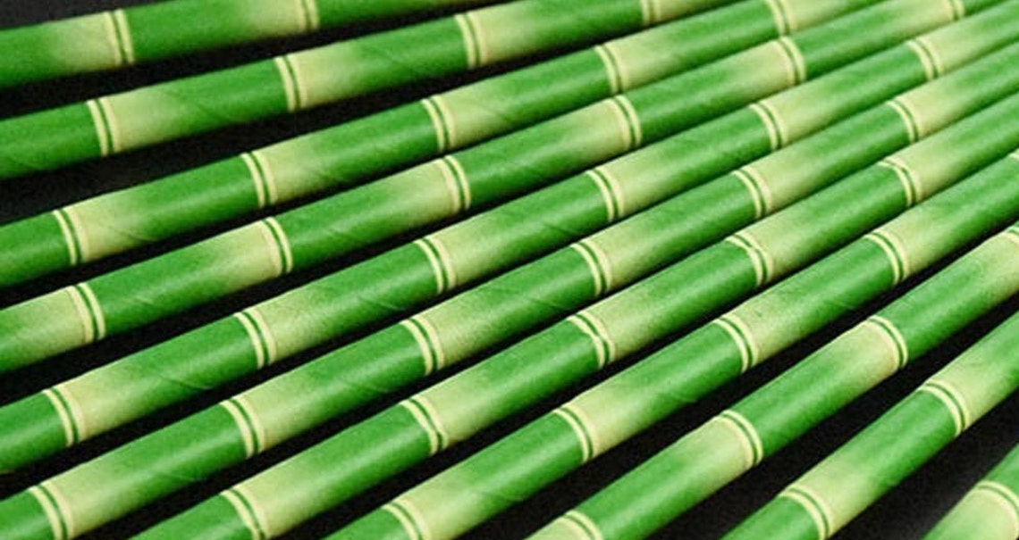bamboo paper ios bamboo paper ios