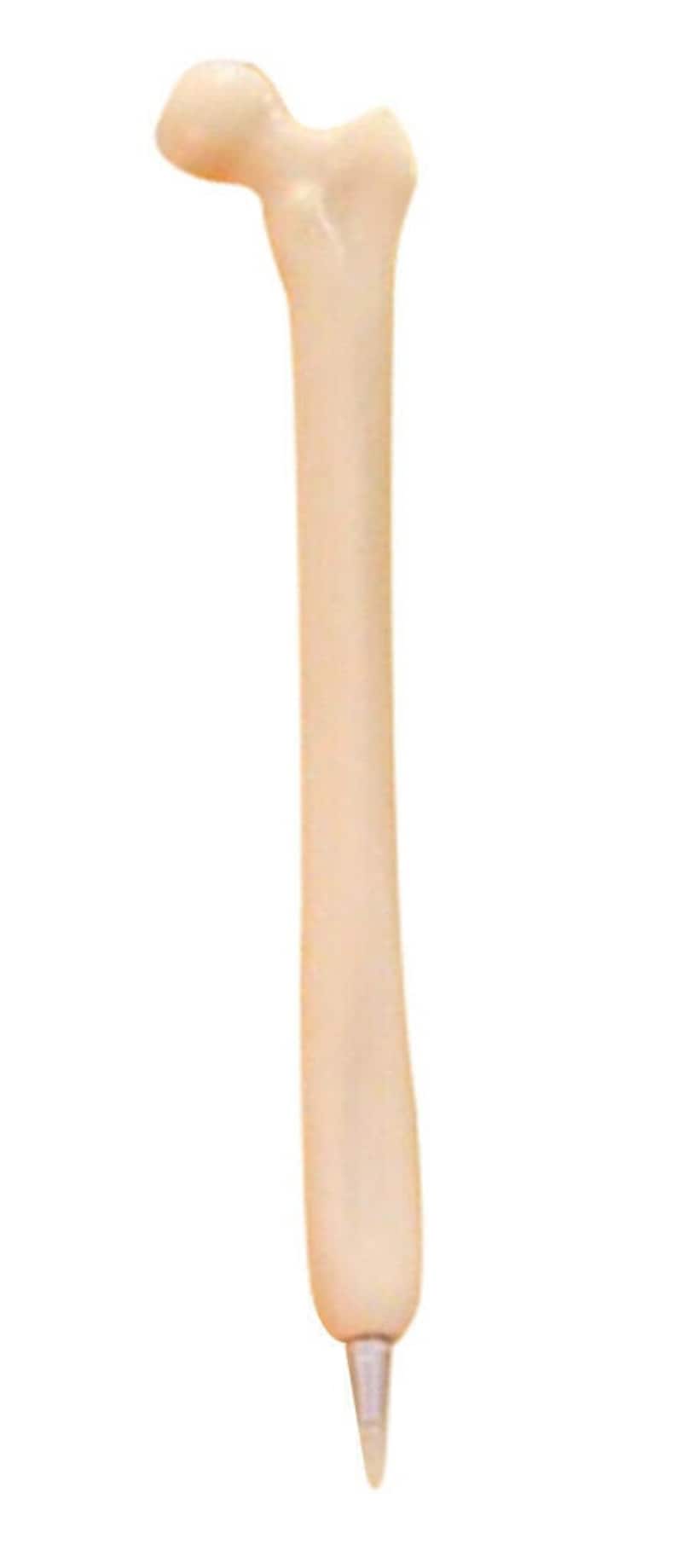 May include: A white plastic pen shaped like a human femur bone.