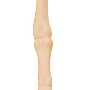 May include: A bone-shaped pen with a white finish. The pen has a silver tip and a realistic bone texture.