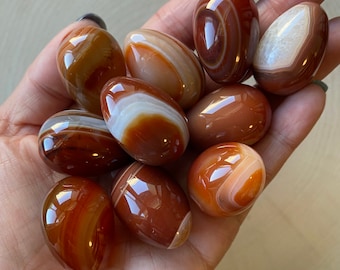 High Quality Carnelian Egg | Some With Quartz | ONE Intuitively Chosen Egg
