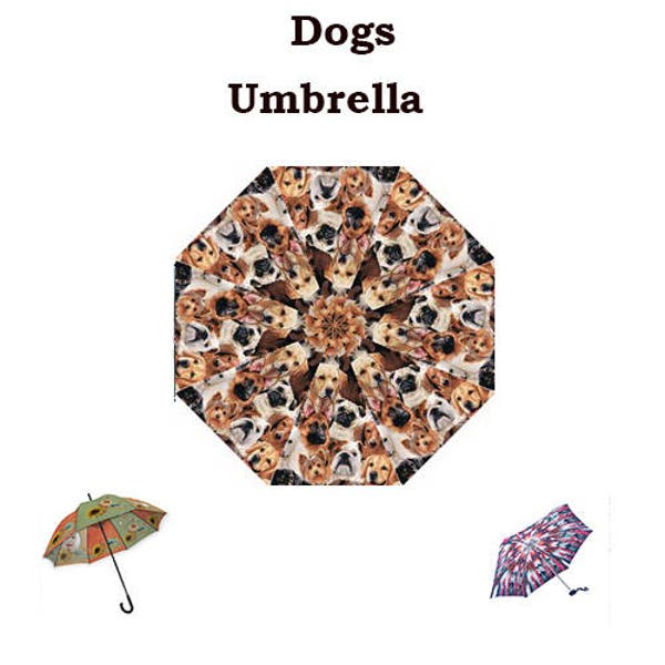 Cani ombrello, autunno, inverno, divertimento, ombrello, glitter, unicorno, moda, ombrello, cani, animali