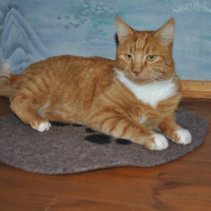Cat Mat/Cat Bed- Redy to ship - handmade felt  + choice of colours
