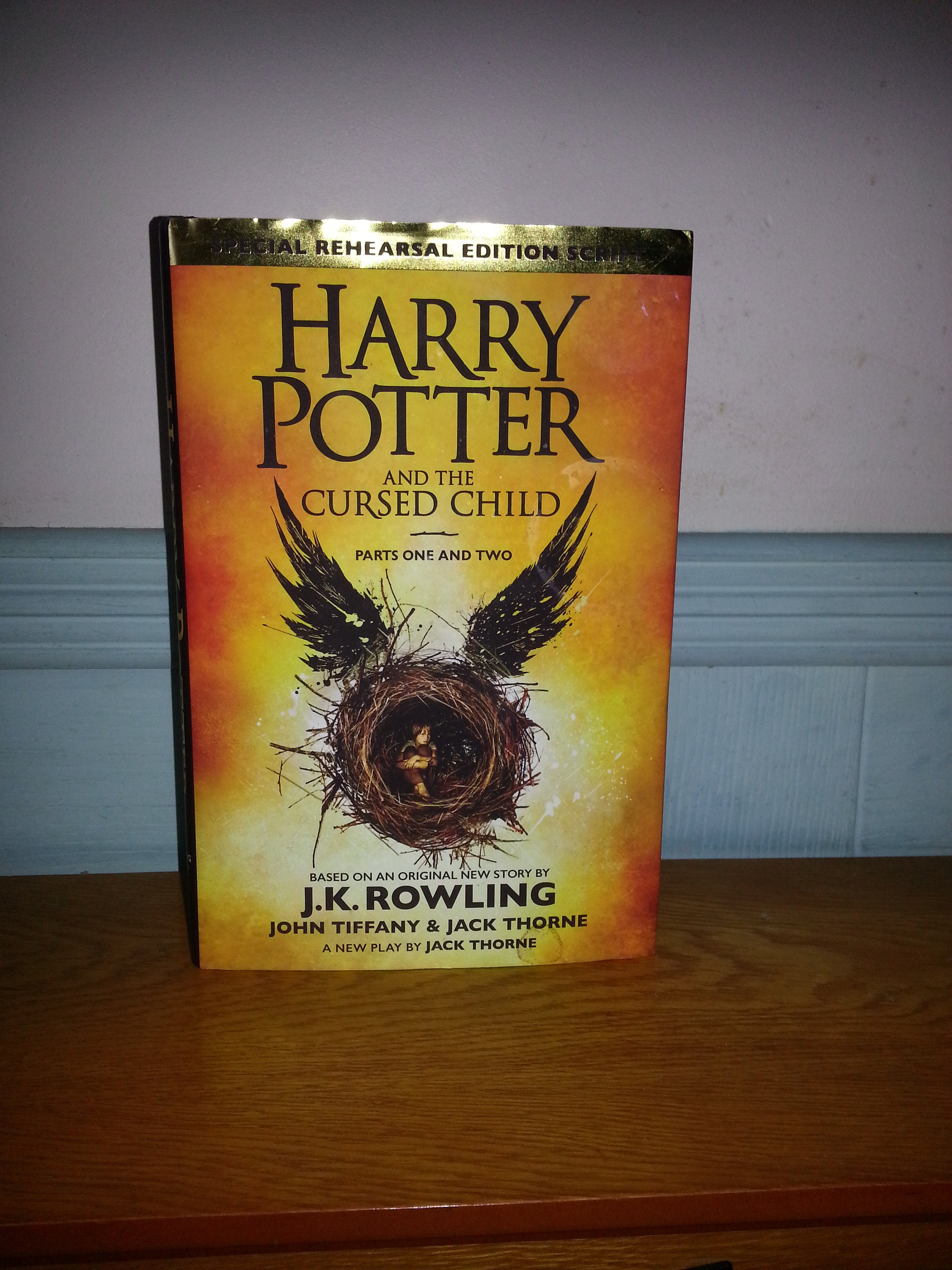 Harry Potter and the Cursed Child | Special Rehearsal Edition