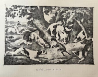 Fox Hunting: the Death – 19th Century Hand-coloured Engraving by