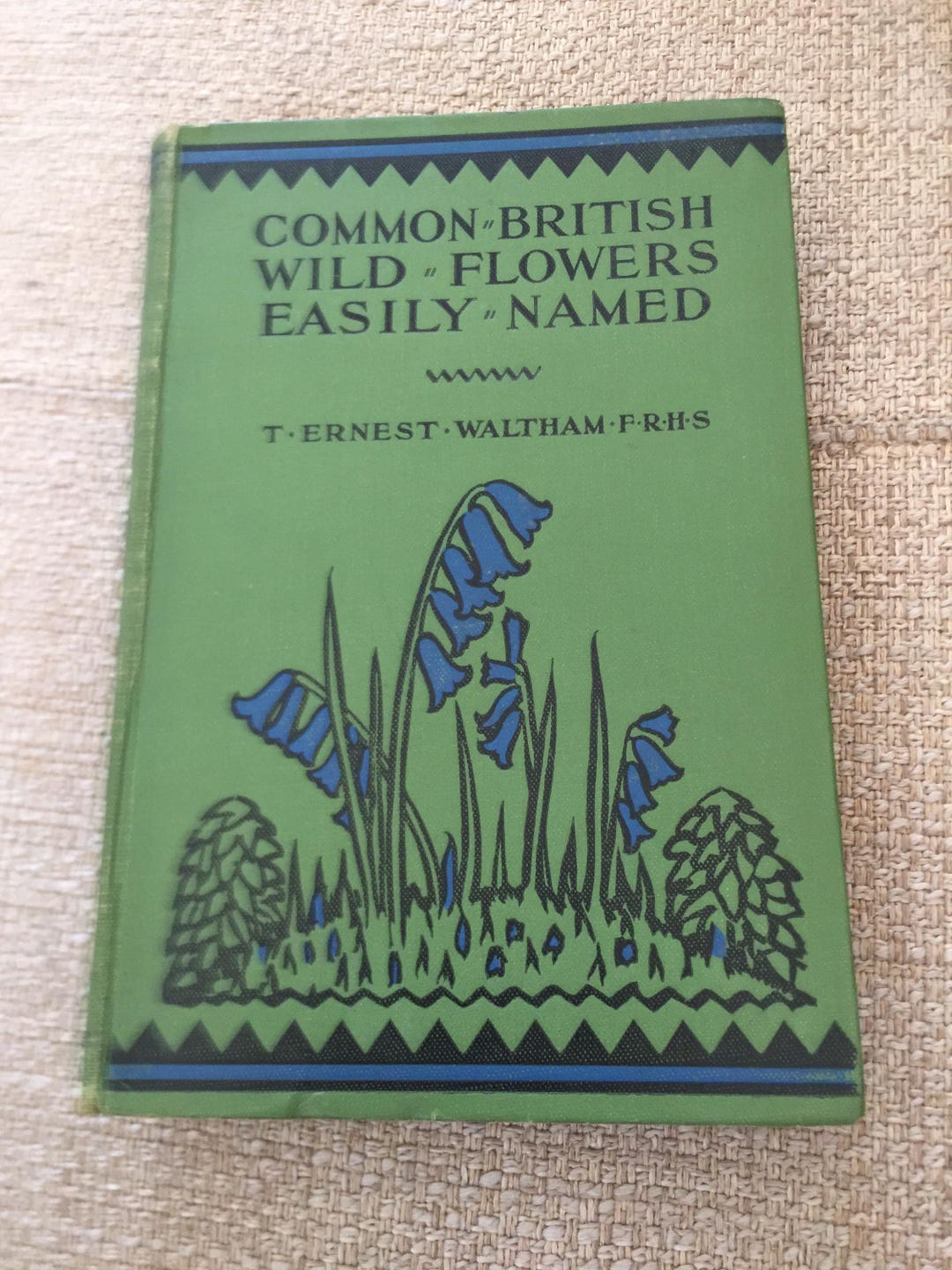 Common British Wild Flowers Easily Named C1927 | Illustrated