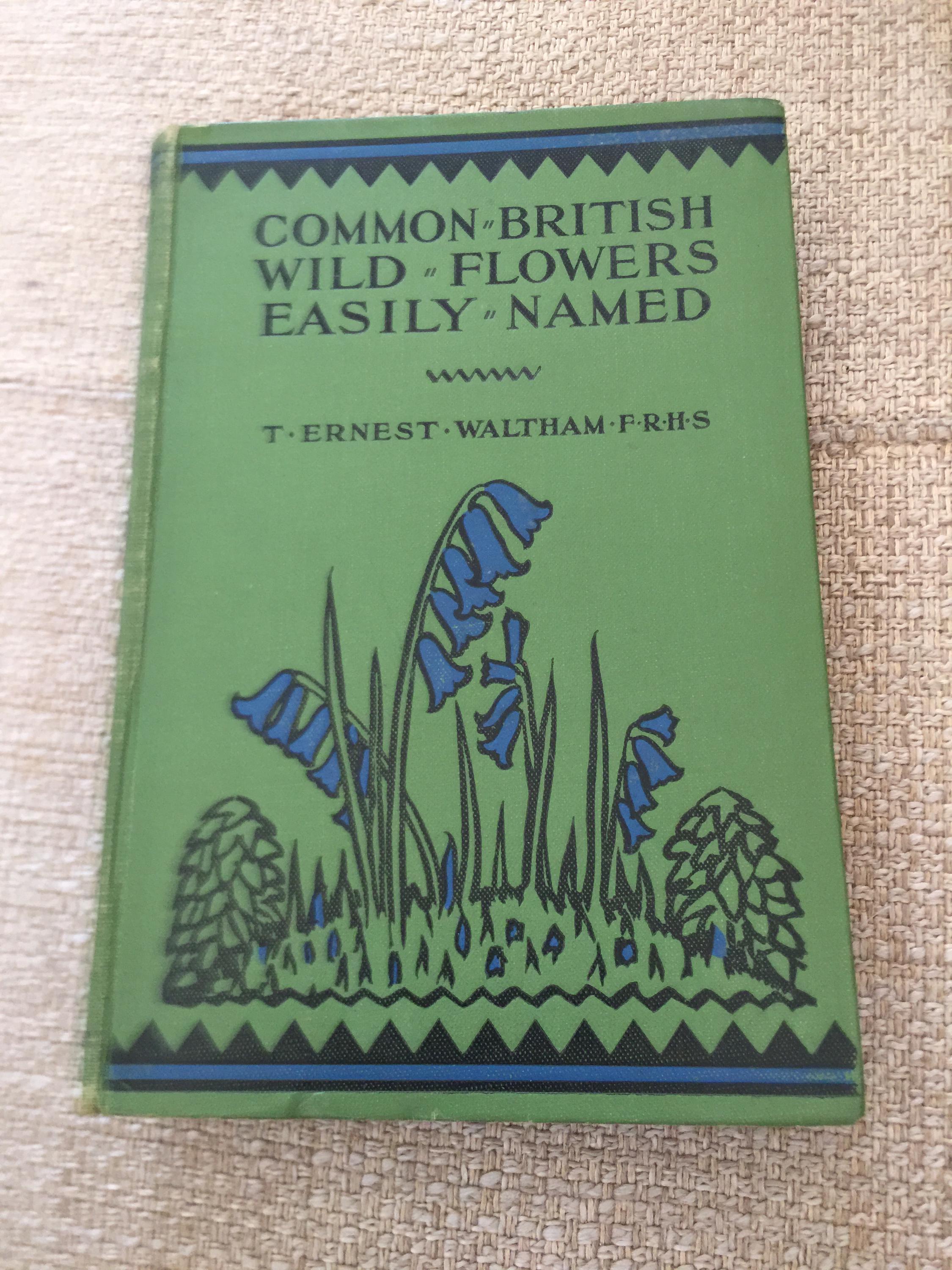 british wild flowers in relation to ‥ il_1080xN.6159136526_cchw.jpg