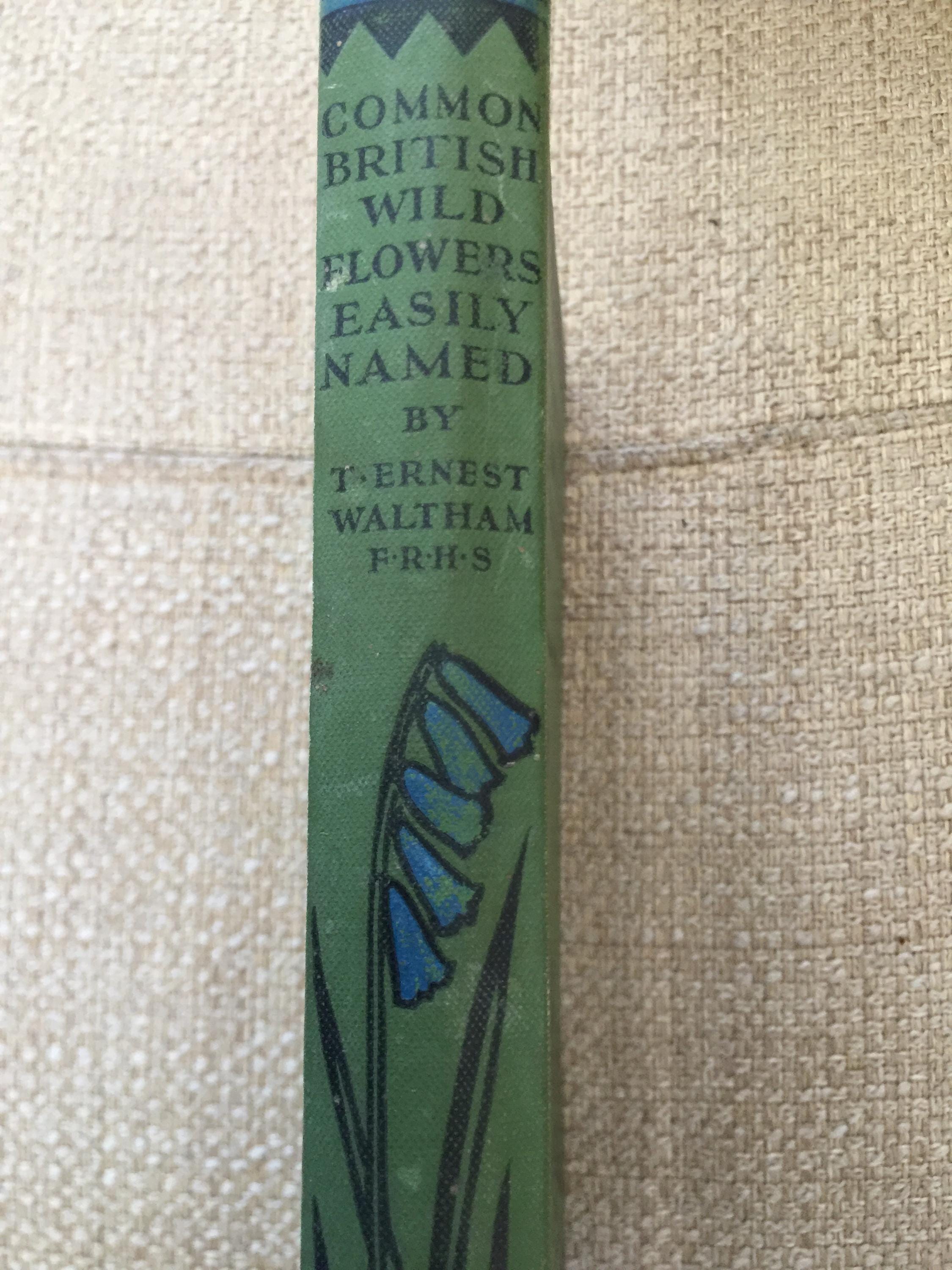 british wild flowers in relation to ‥ Varieties of British Wildflowers, 1947 by Unbekannt