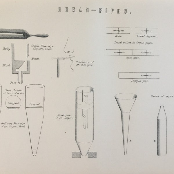 Antique Print Dated C1870's Organ Pipes Engraving Sound Pulses Forms Of Pipes Music