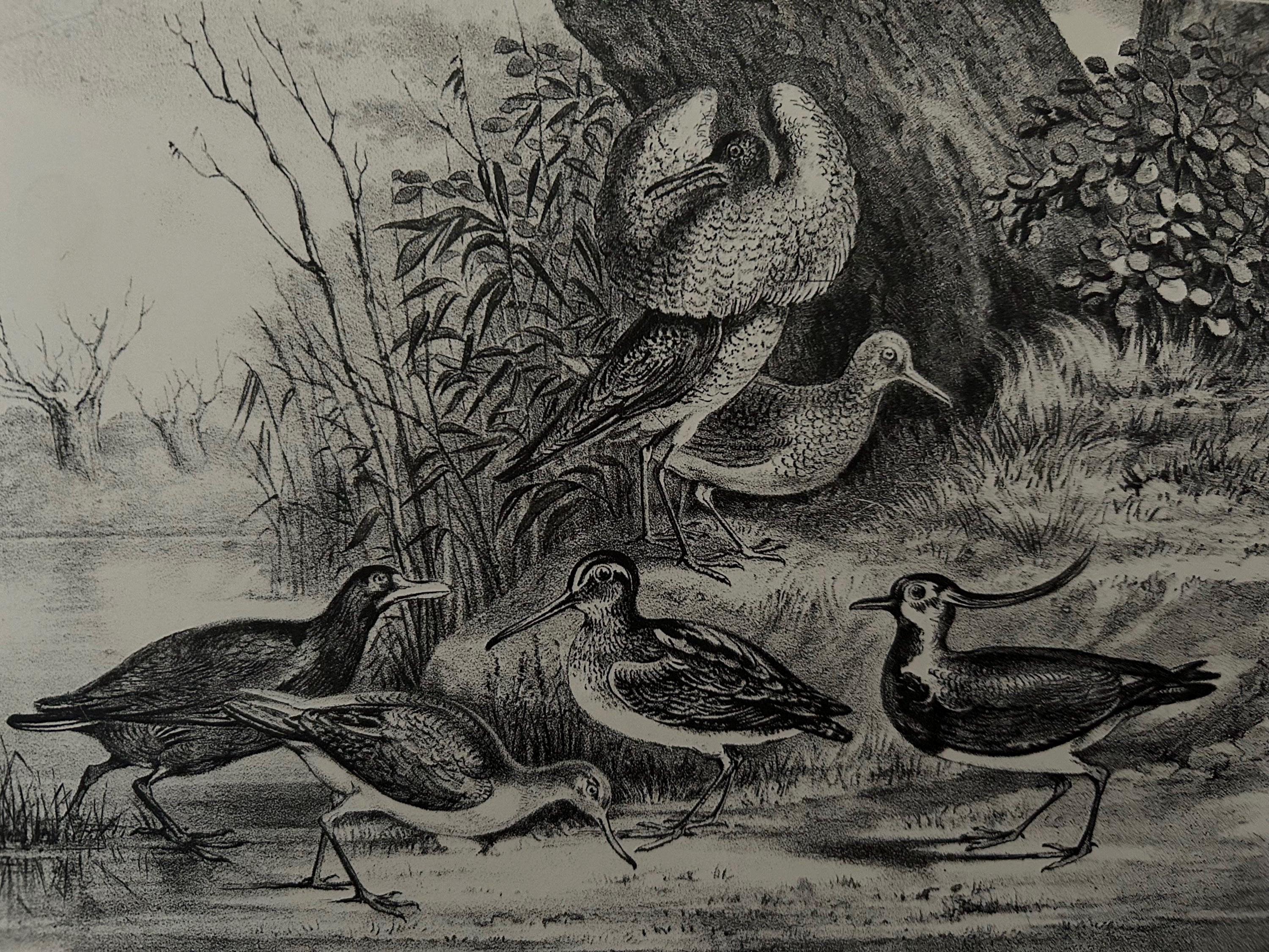 PIERRE-YVES TRÉMOIS (1921-2020) GRAVURE ORIGINALE CHASSE à COURRE