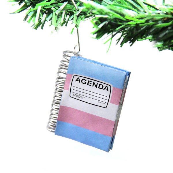 Gay Ornament | Pride ornament for 2022 Christmas, Trans Agenda, Transgender, funny ornament