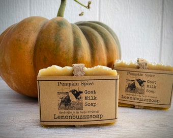 Pumpkin Spice Goat Milk Soap+Homegrown+Natural Pumpkin Soap+Handmade Honey Soap+Goat Milk Soap+Gift For Her+Gift For Him+Ecofriendly Gift