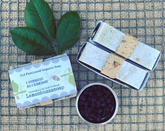 Cambrian Blueberry+Organic Soap+Seed Paper+Natural Soap+Chemical Free+Ecofriendly+Healthy+Soap+Gift For Her+Gift For Him+Unique Gift