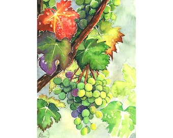 オリジナルの水彩画「ブドウの木のブドウ」9