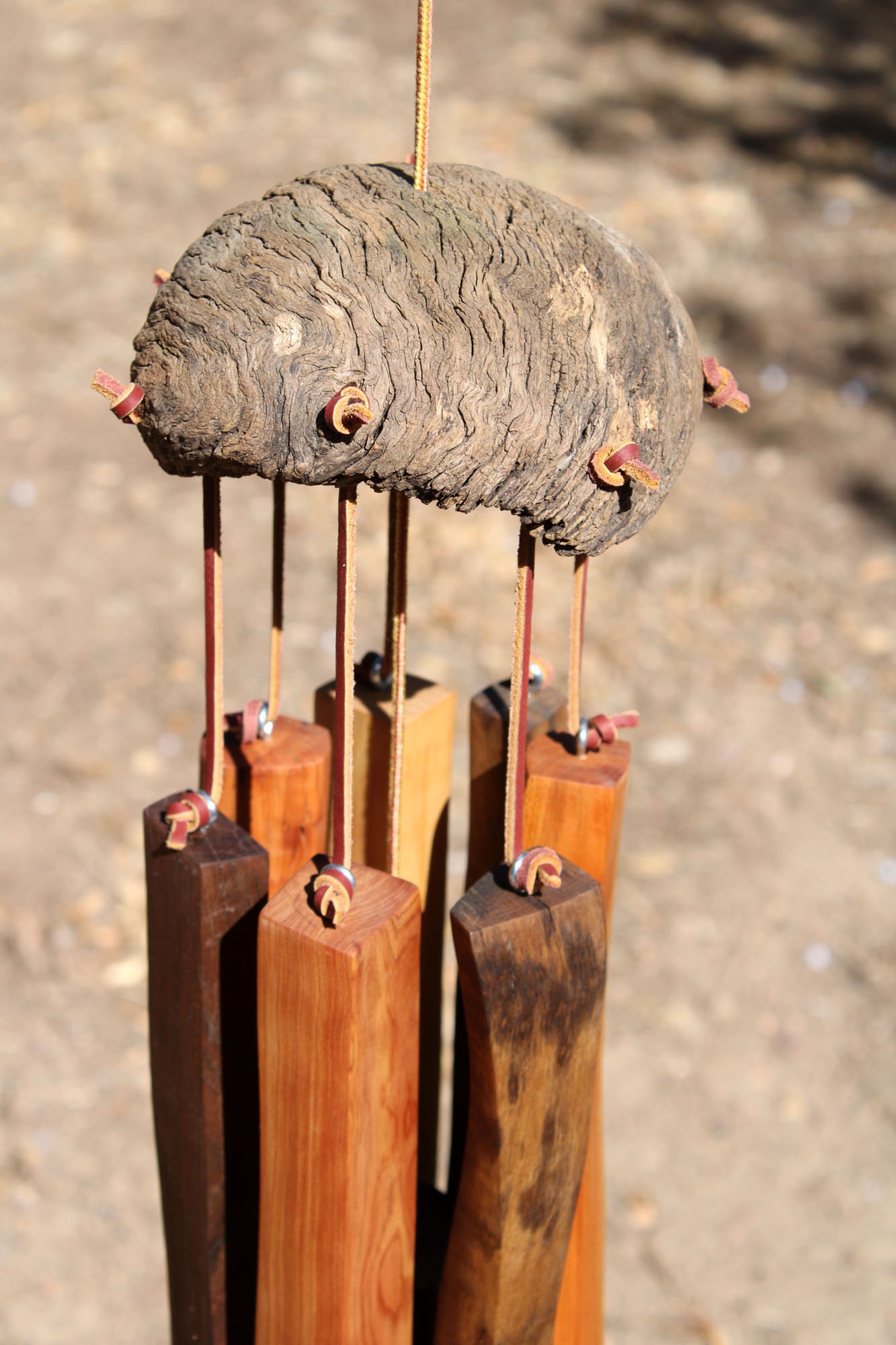 Wind Chimes Desert Tortoise Madera natural negro Etsy