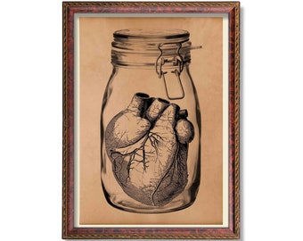 Antique heart anatomy print Medical illustration Anatomical decor
