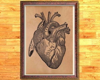 Heart poster Anatomy print Medical decor
