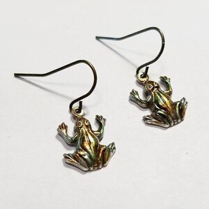 Colorful Cute Frog Dangle Earrings / Alcohol Ink Toads Amphibian Animal Hand Painted Jewelry / Hypoallergenic Nickel Free Earwires.