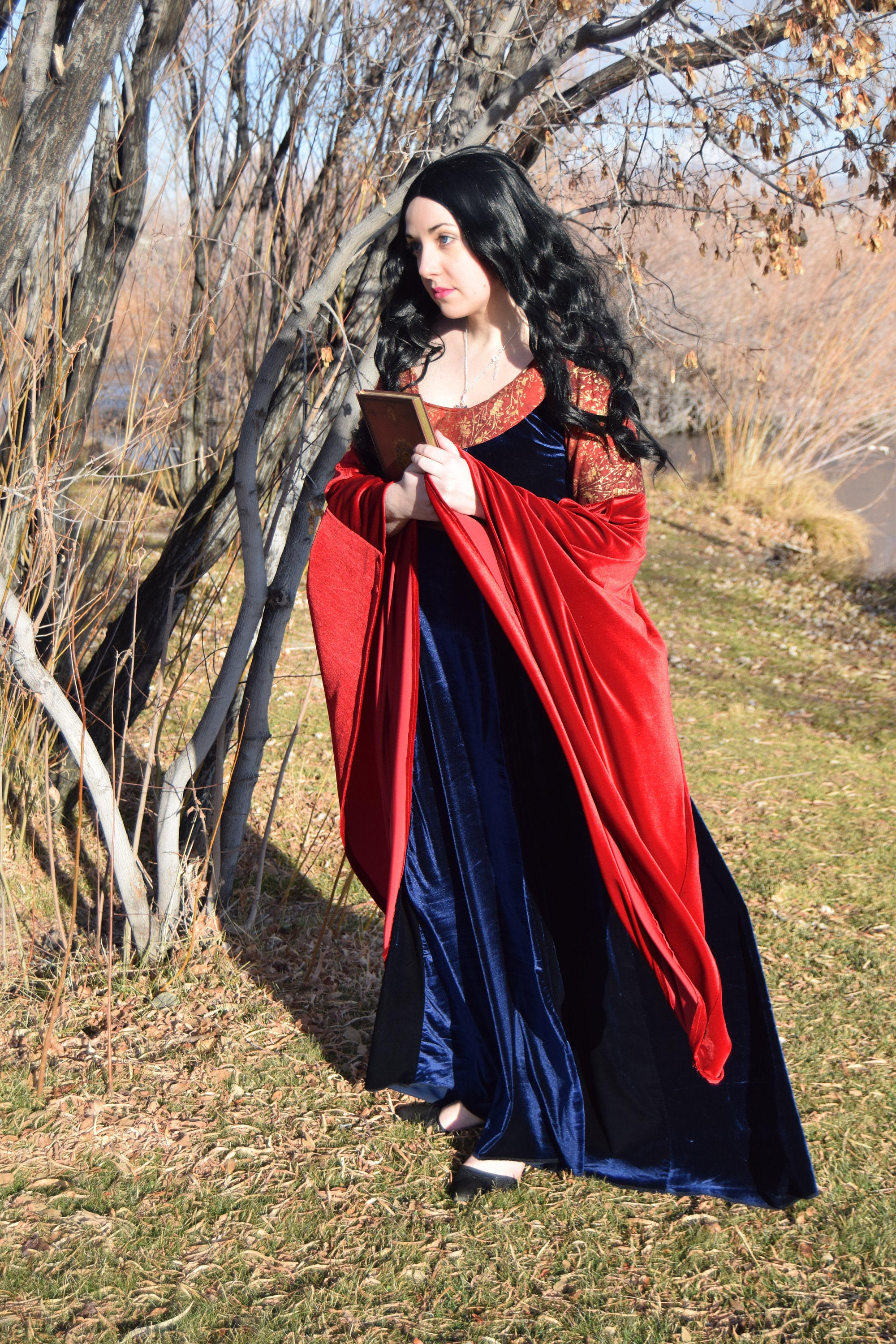 open lace back dress Rubie's Lord of The Rings Deluxe Arwen Costume Dress, Black, Standard :  Amazon.sg: Fashion