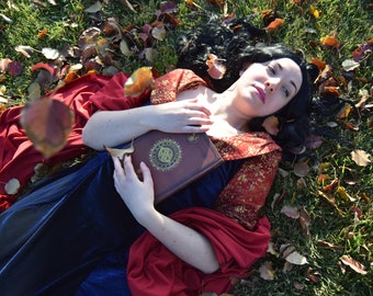 Arwen's velvet red and Blue dress~ Lord of the Rings cosplay costume~Return of the King