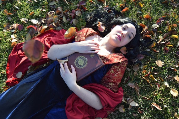 Arwen's Velvet Red and Blue Dress~ Lord of the Rings Cosplay Costume~return  of the King - Etsy