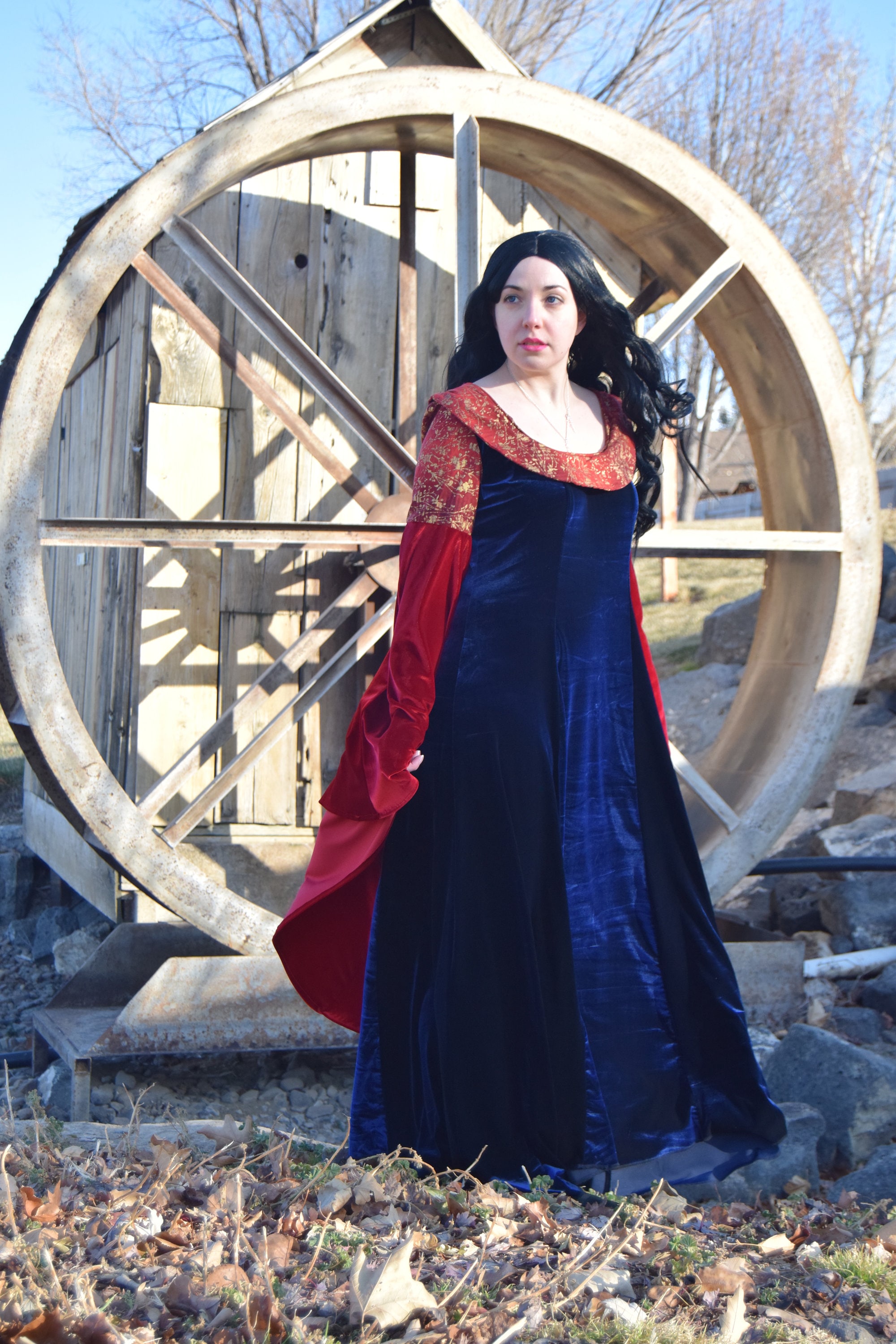 Arwen's velvet red and Blue dress~ Lord of the Rings cosplay costume~Return  of the King Size: 10 US women's letter