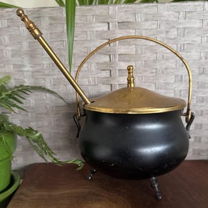 May include: A small, black cauldron with a gold-colored lid and handle, and three small legs. A gold-colored ladle rests inside the cauldron. The cauldron is displayed on a wooden surface, with plants in the background.